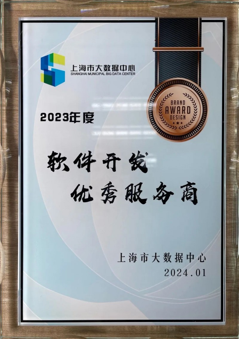 软件开发：上海的创新引擎